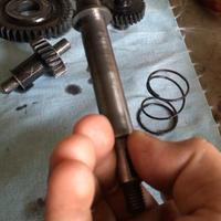 rapporti piaggio moped