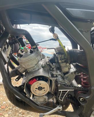 Fantic 50 competition 2019