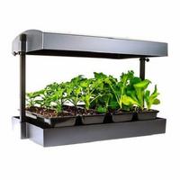 grow light garden