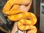 Immagine 2