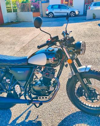 MUTT MASTIFF 125