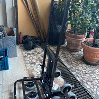 Carellino trasportatore