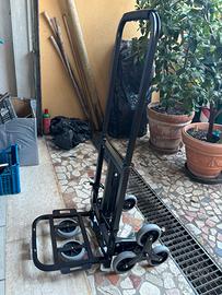 Carellino trasportatore