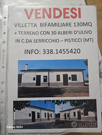Villetta bifamiliare