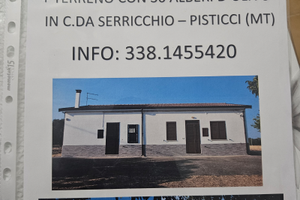 Villetta bifamiliare