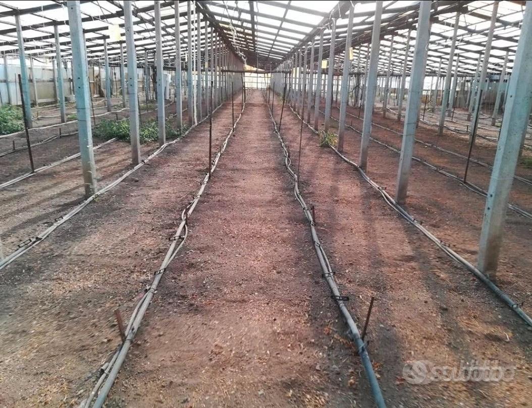 Terreno coperto da serra con aerazione automatica