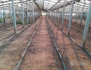 Terreno coperto da serra con aerazione automatica