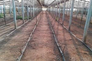 Terreno coperto da serra con aerazione automatica