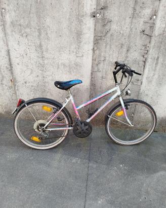 Bicicletta mountan bike cerchi 24 usata
