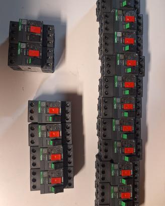 salvamotori schneider