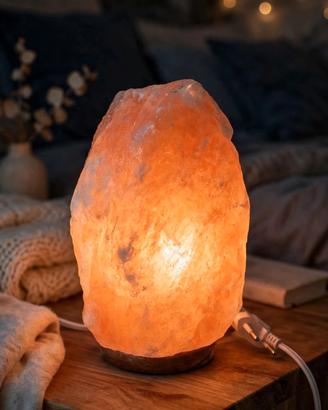 Lampada Sale e Legno con Lampadina - Come Nuova