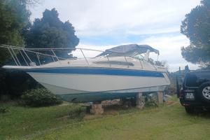 BARCA americana Thompson Santa Cruz 31 cruiser 