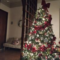 albero di natale 