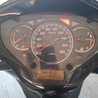 Honda sh 300