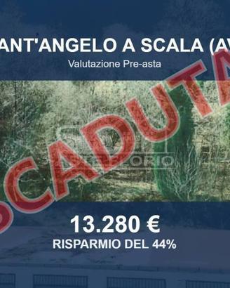 Immobile in asta di 4723 m² a Sant'Angelo a Scala