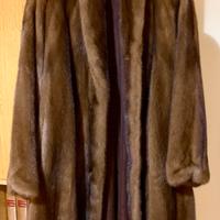 PREGIATO VISONE CANADESE MASCHIO