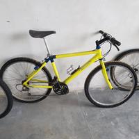 bicocletta mtb 