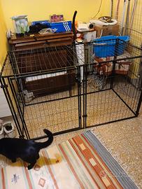 kennel x cane 
