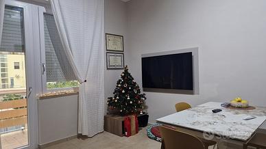 V167 nuovo bilocale a 500 metri dal mare