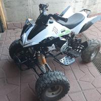 quad 100 cc