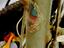 Immagine 3