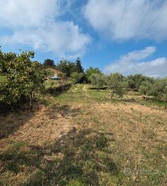 Terreno edificabile e agricolo con casa a Mascali