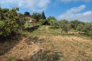 Terreno edificabile e agricolo con casa a Mascali
