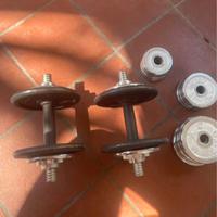 Set manubri regolabili + ab roller addome