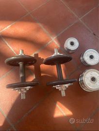 Set manubri regolabili + ab roller addome