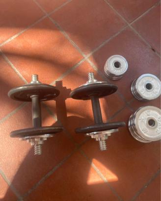 Set manubri regolabili + ab roller addome