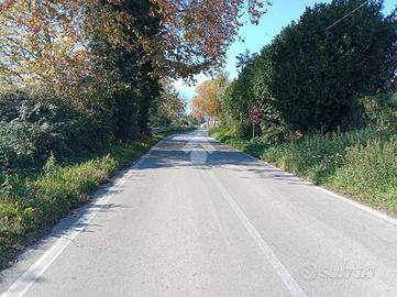 TER. AGRICOLO A SAN POTITO ULTRA