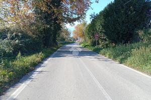 TER. AGRICOLO A SAN POTITO ULTRA