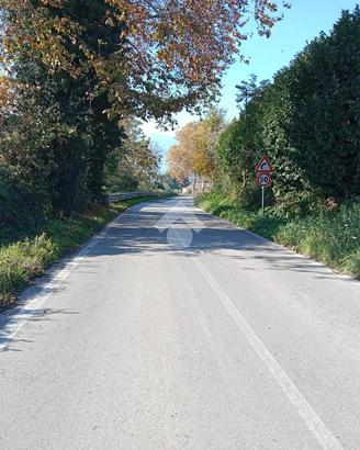 TER. AGRICOLO A SAN POTITO ULTRA