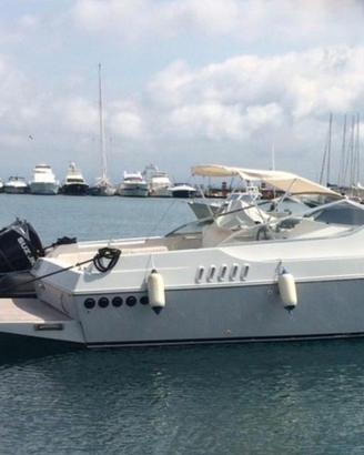 Barca Cobra Marine 33