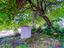 Immagine 26