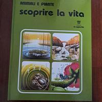 Libro : animali e piante scoprire la vita