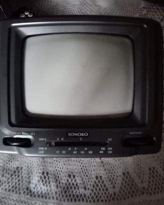 tv portatile con radio.