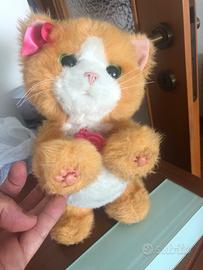 Gattino che miagola e si muove