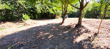 Terreno Lago di Ortiglieto