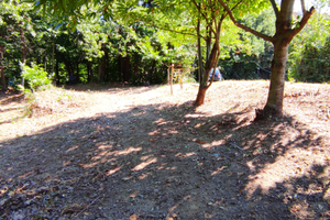 Terreno Lago di Ortiglieto
