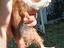 Immagine 5