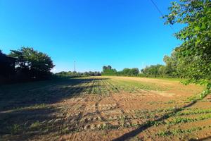 Terreno di 12063 m² a Campodoro