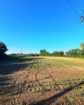 Terreno di 12063 m² a Campodoro