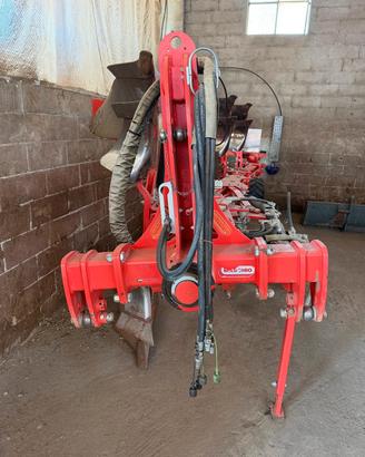 aratro quadrivomere  maschio