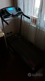 tapirulan