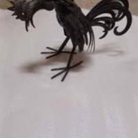 2  Gallo ferro battuto