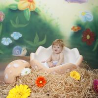 Sala di Posa, scenario completo