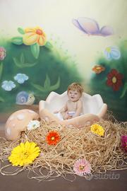 Sala di Posa, scenario completo