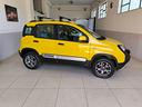 fiat-panda-cross-1-3-mjt-s-s-4x4