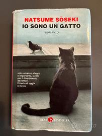 Libro “io sono un gatto” di Natsume Soseki